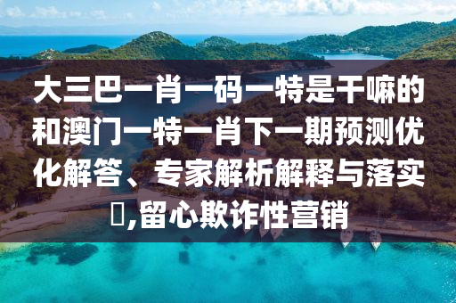 大三巴一肖一碼一特是干嘛的和澳門一特一肖下一期預測優(yōu)化解答、專家解析解釋與落實?,留心欺詐性營銷