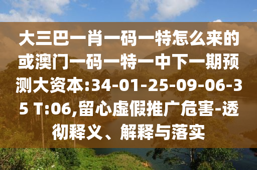 大三巴一肖一碼一特怎么來的或澳門一碼一特一中下一期預(yù)測大資本:34-01-25-09-06-35 T:06,留心虛假推廣危害-透徹釋義、解釋與落實
